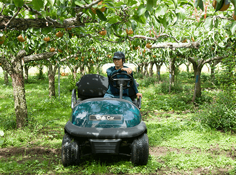 高さの制限がある場所でも走れます。果樹園や農業の場でも活躍。