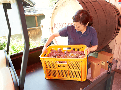 BOX付きのカートだと荷物もたくさん積めて大変便利です。